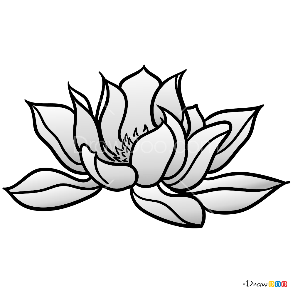 How to Draw Lotus, Tattoo Flowers